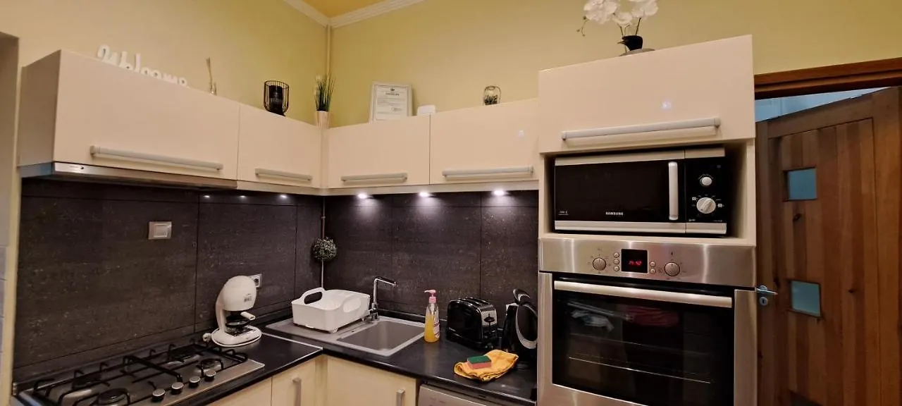 Szandi Belvarosi Apartman Szeged Apartment